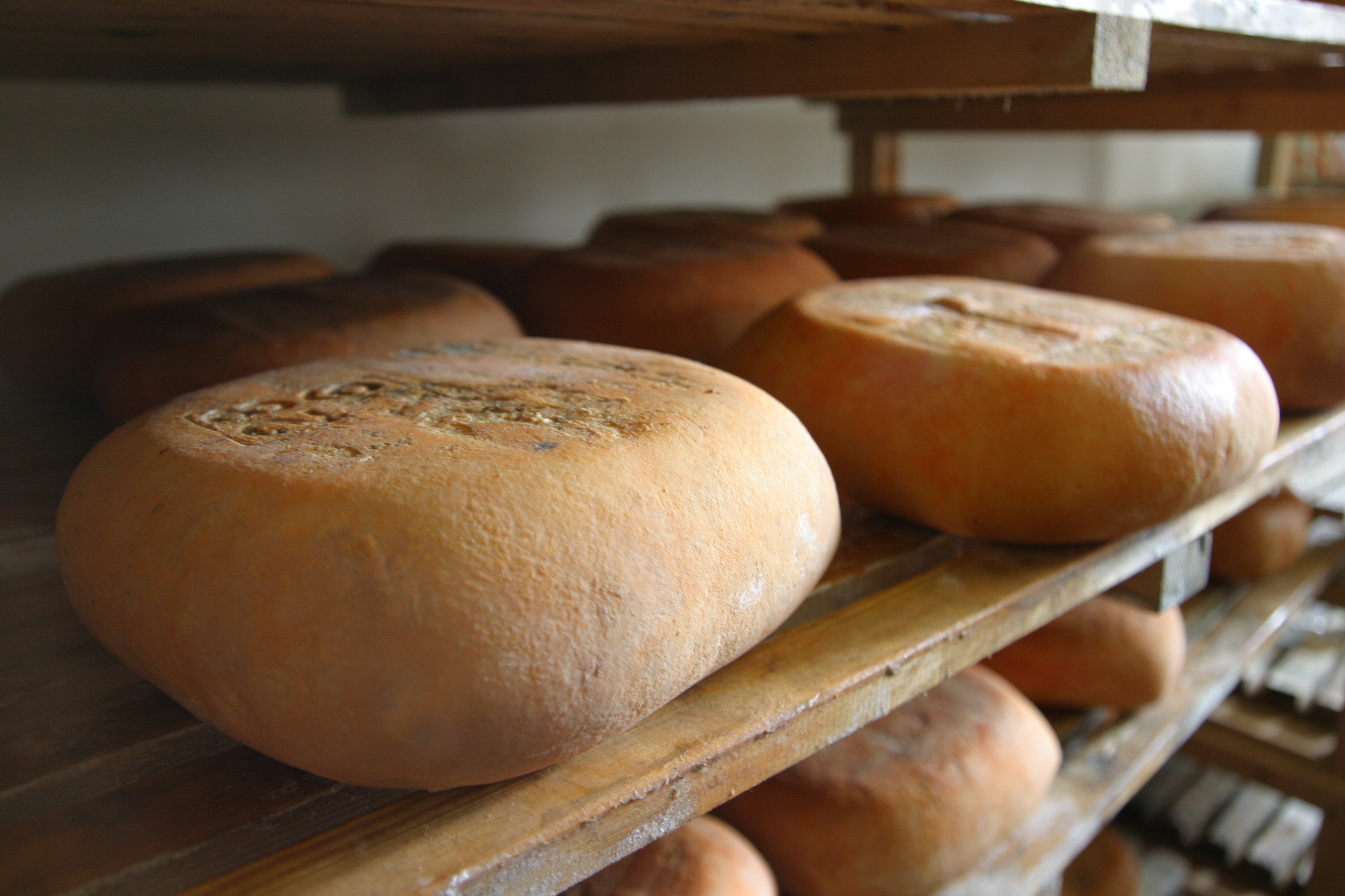 El formatge Mahón-Menorca és una font natural de calci - Notícies - Illes Balears - Productes agroalimentaris, denominacions d'origen i gastronomia balear